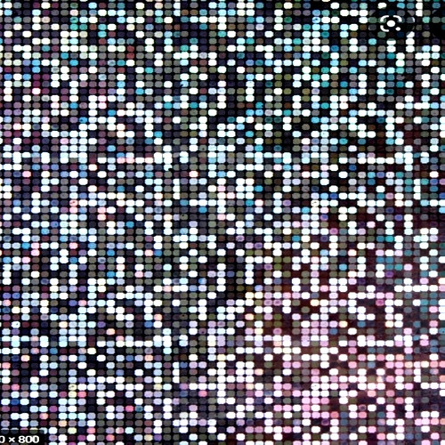 Transferfolie Panic At The Disco 4 x 50cm