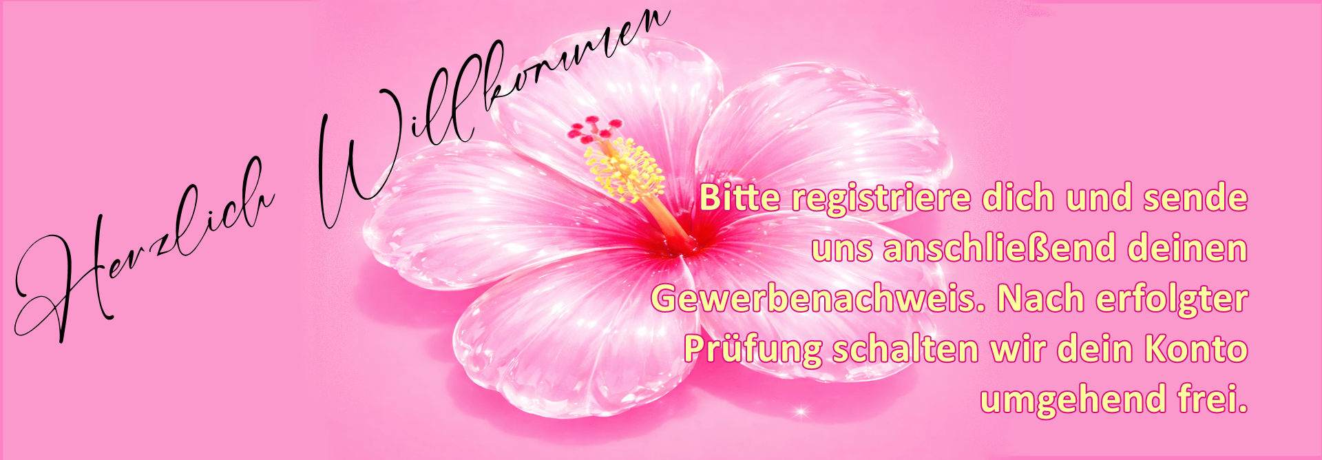 Registrierung Gewerbenachweis