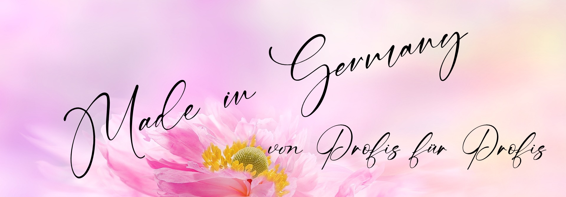 nagelprodukte online-shop modellage-gele online kaufen farbgele