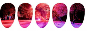 Blossom Nailcouture Wrap Slider Pink Wintertime - Big Size