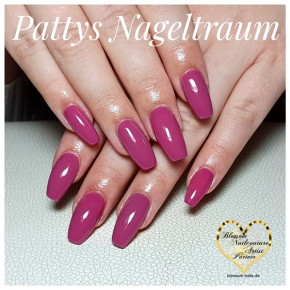 Pollys Dream 5ml
