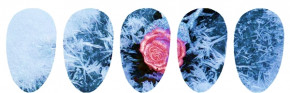 Blossom Nailcouture Wrap Slider Winter Rose - Big Size